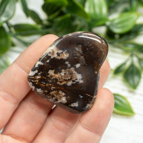 Outback Jasper Polished #5
