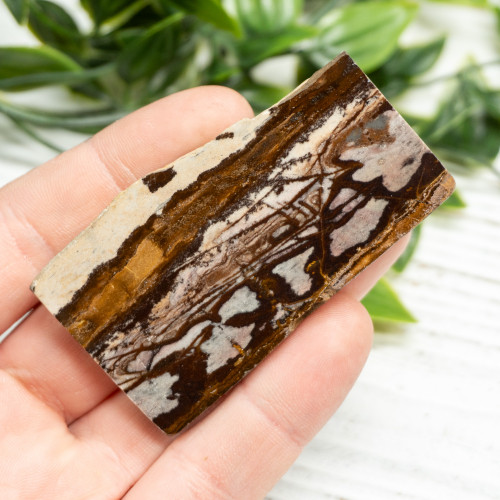 Outback Jasper Slab #1