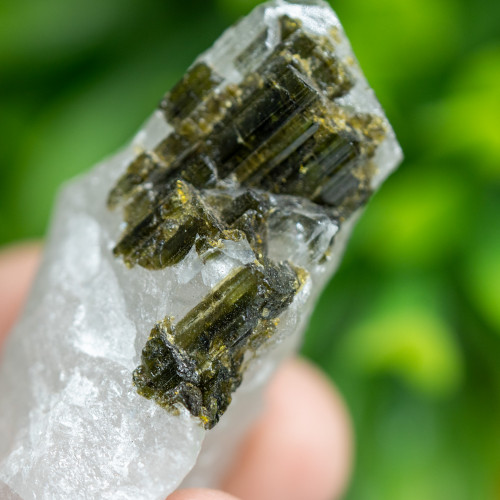 Green Tourmaline in Quartz #7
