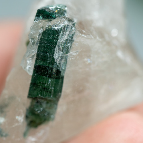 Green Tourmaline in Quartz #2