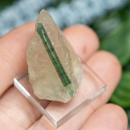 Green Tourmaline in Quartz #1
