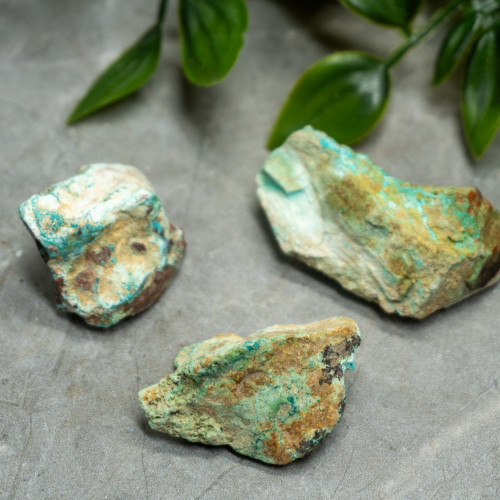 Random Small Collawood