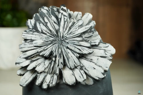 Chrysanthemum Stone