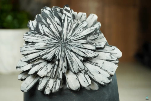 Desert Rose Selenite Meanings and Crystal Properties - The Crystal