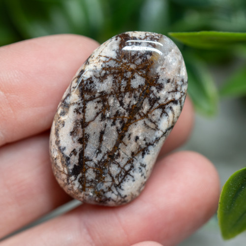 Outback Jasper Tumbled #1