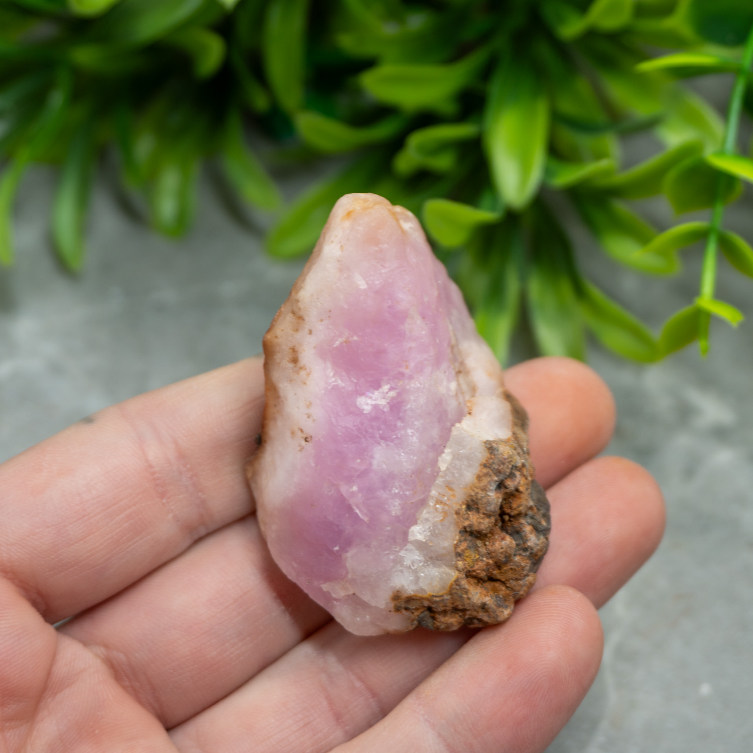 Rew Pink Raw Pink Aragonite #14 - The Crystal Council