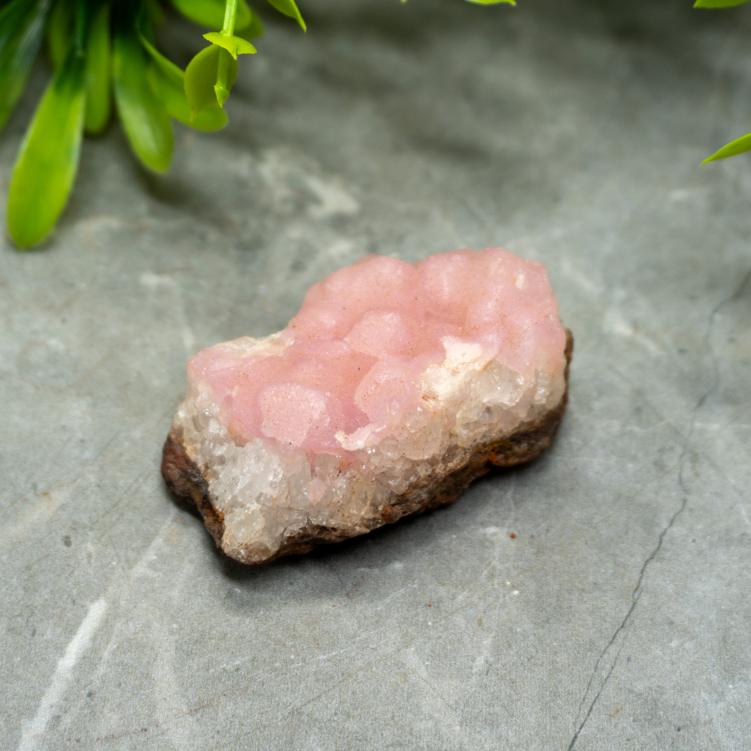 Rew Pink Raw Pink Aragonite #13 - The Crystal Council