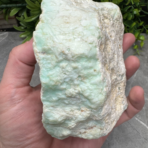 XL Kosovo Opal #1