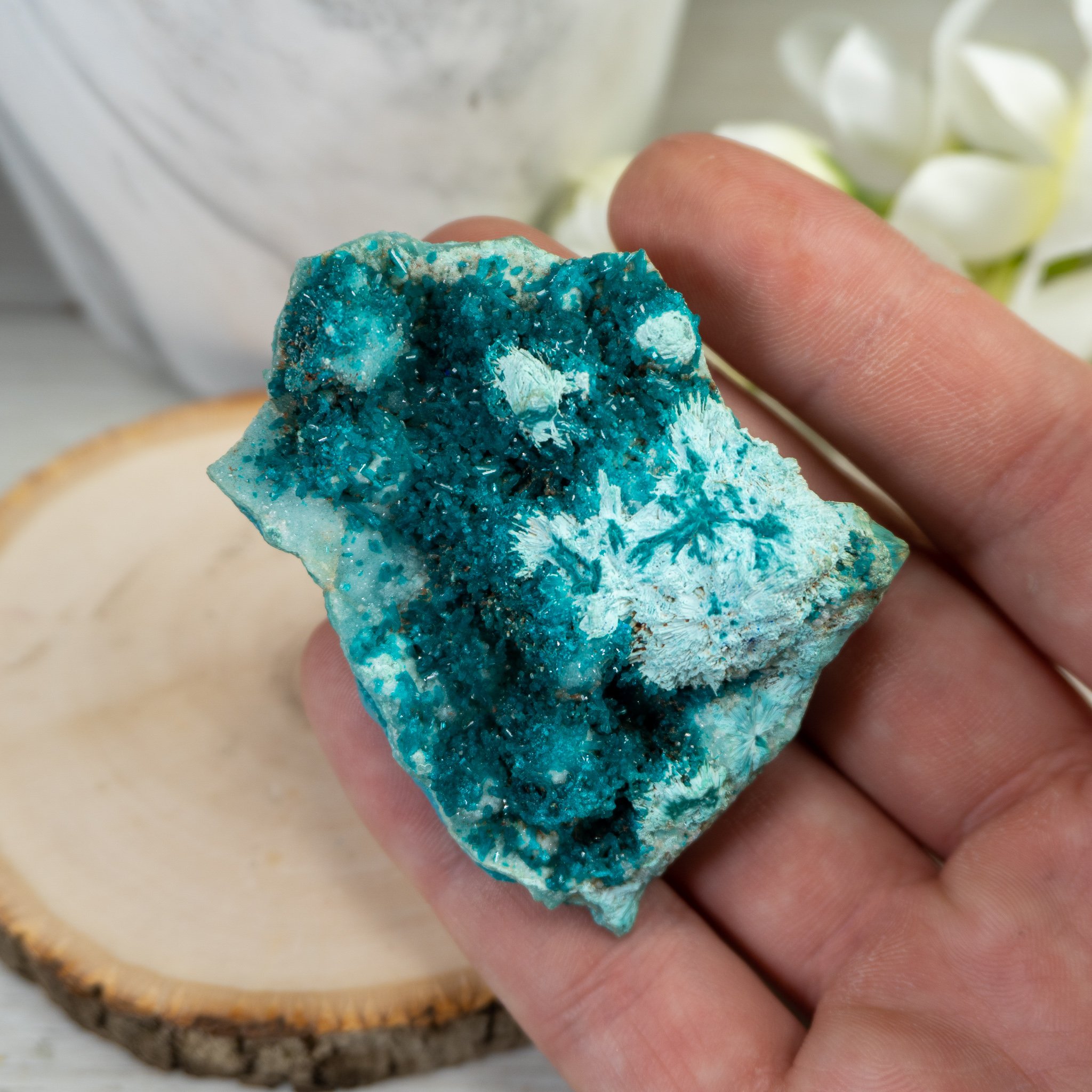 Raw Dioptase #2 A Quality - The Crystal Council