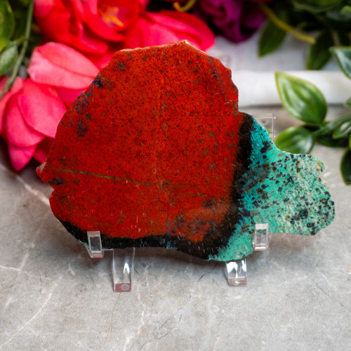 XL Sonora Sunrise Slice #1