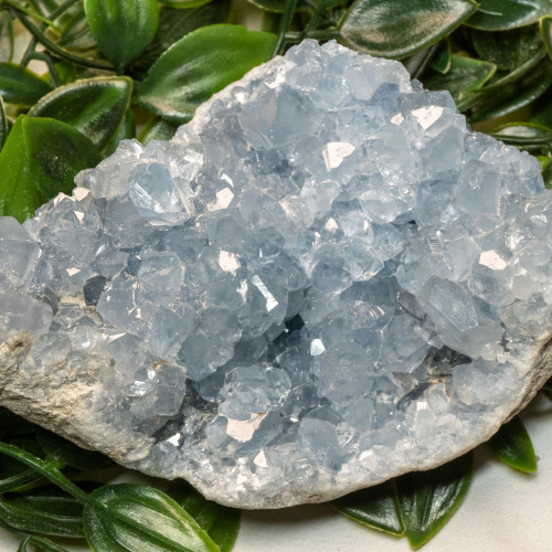 Celestite #13