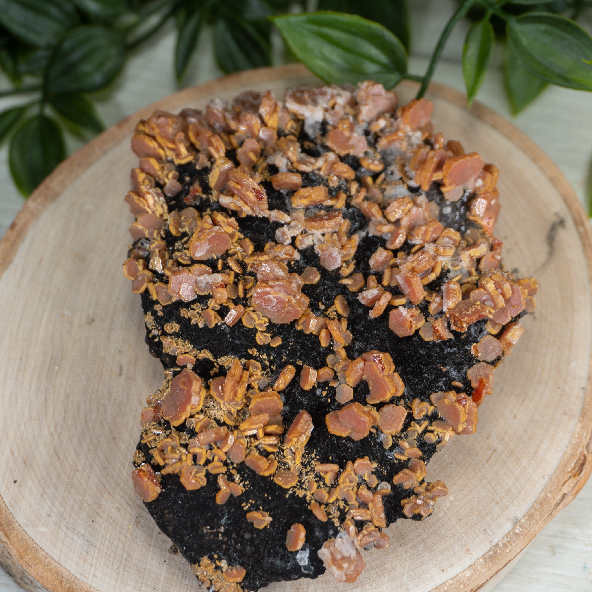 Large Vanadinite over Hematite on Matrix #2