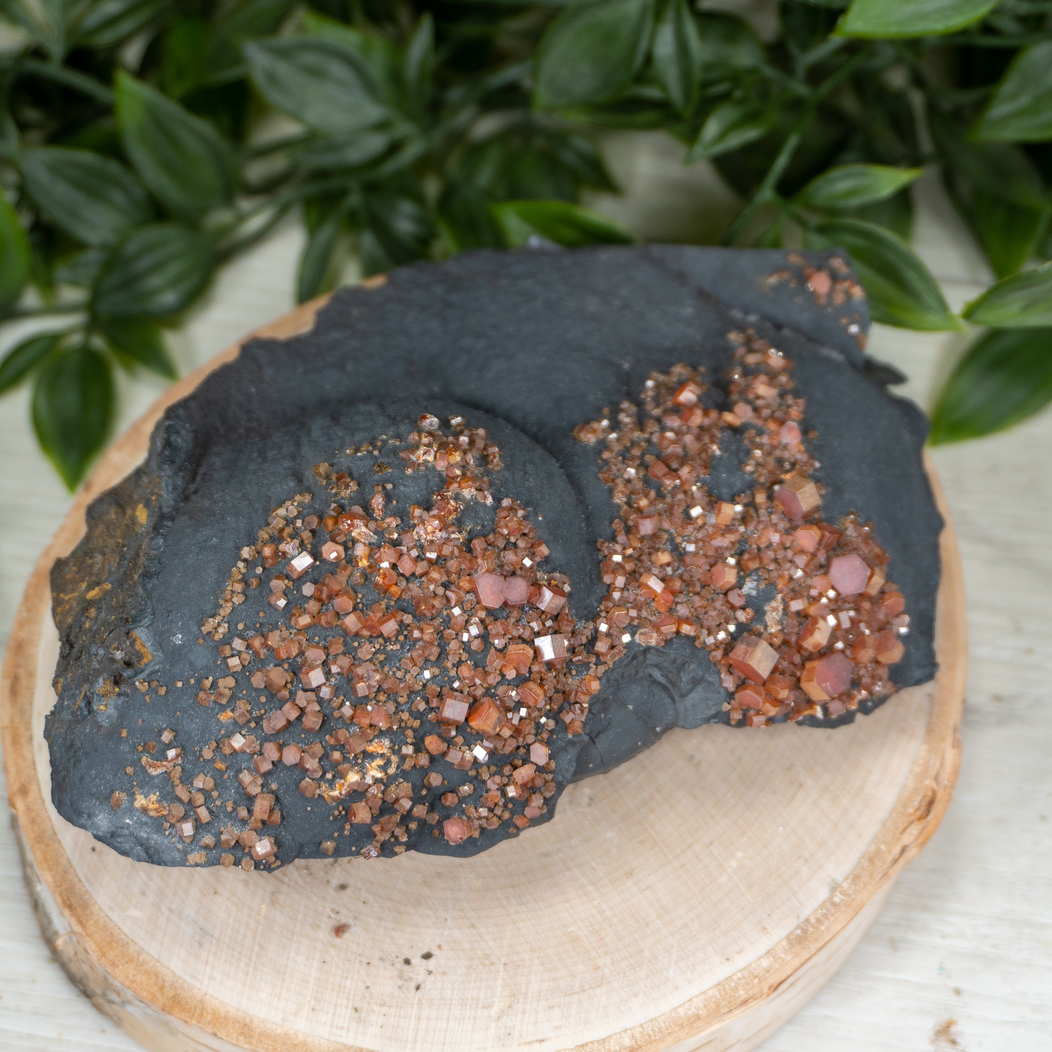 Large Vanadinite over Hematite on Matrix #3