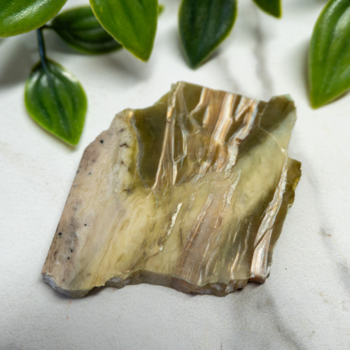 Arizona Pietersite #10