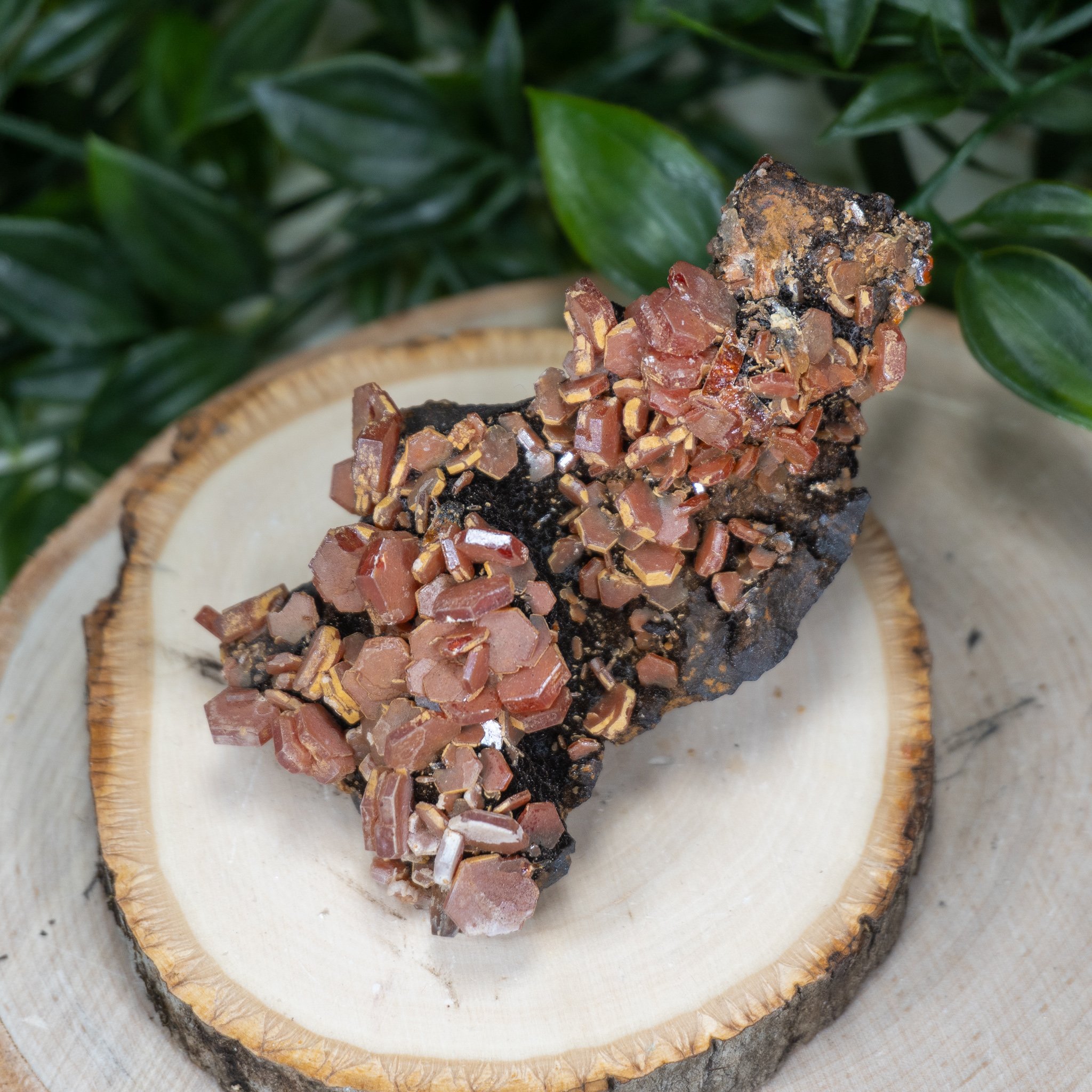 Large Vanadinite over Hematite on Matrix #4