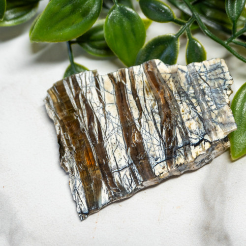 Arizona Pietersite #4