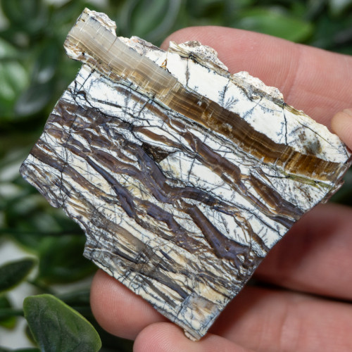 Arizona Pietersite #2