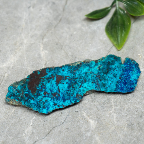 Chrysocolla, Shattuckite, and Tenorite Slab #10