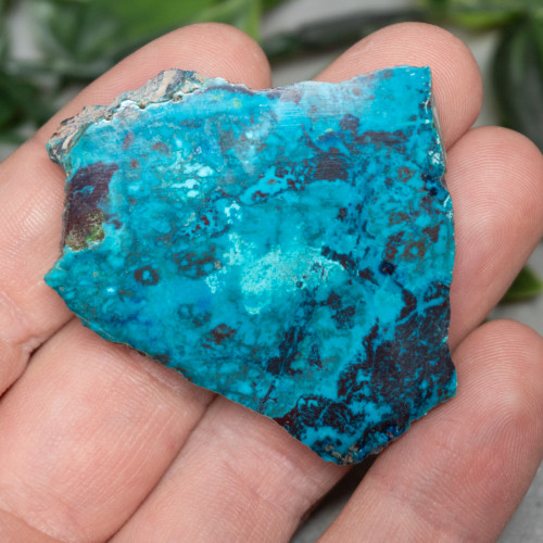 Chrysocolla, Shattuckite, and Tenorite Slab #9