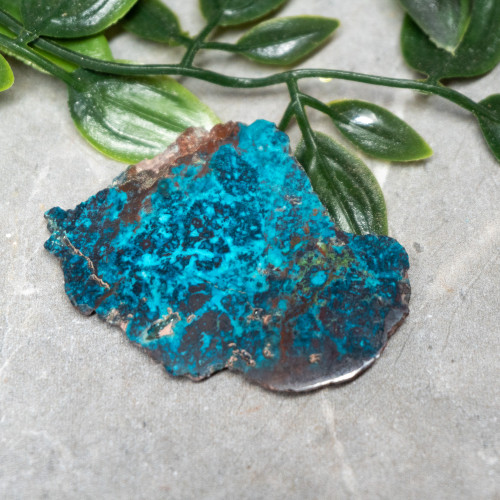 Chrysocolla, Shattuckite, and Tenorite Slab #8
