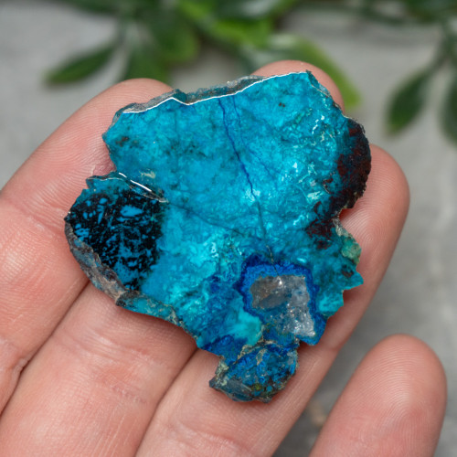 Chrysocolla, Shattuckite, and Tenorite Slab #1