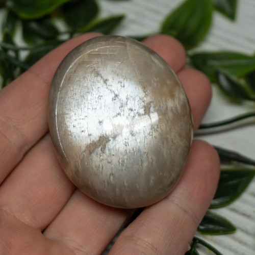 Black Moonstone Palm stone #1