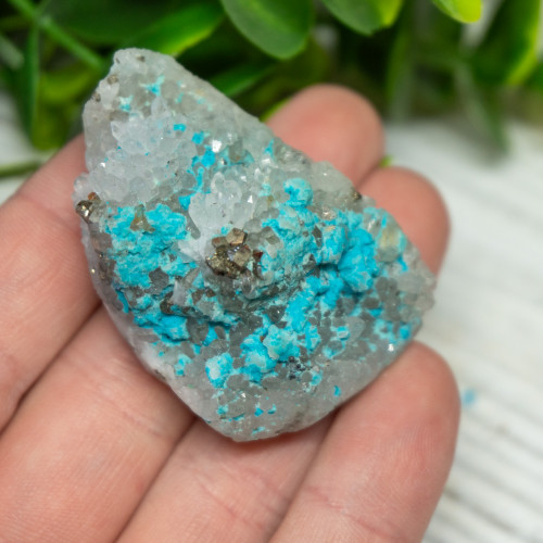 Small Turquoise on Quartz #5