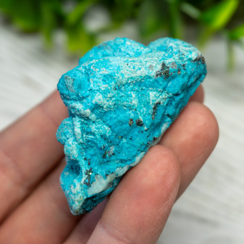 Small Turquoise on Quartz #2