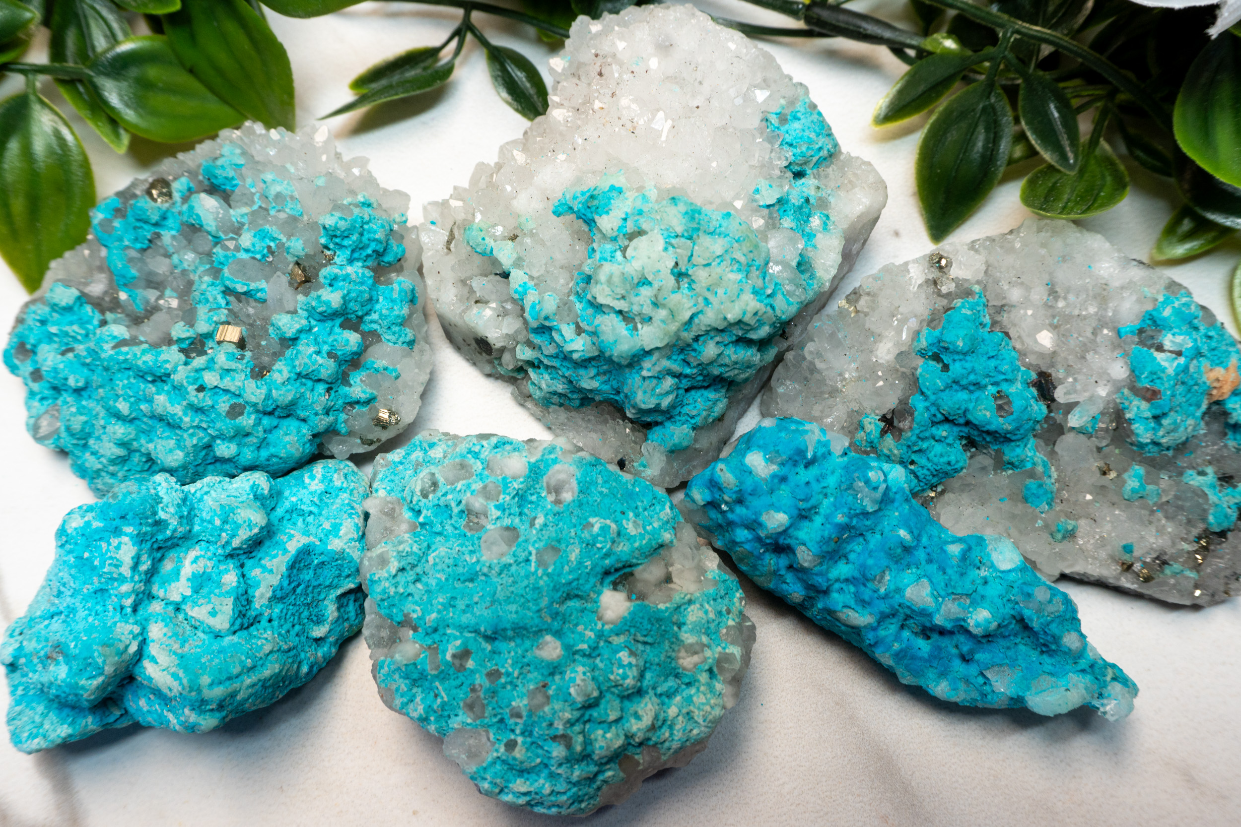 Turquoise on Quartz