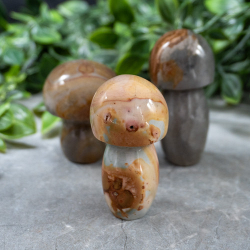 Polychrome Jasper Medium Mushroom