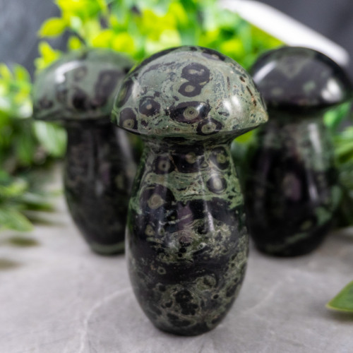 Kambaba Jasper Medium Mushroom