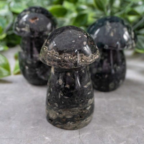 Kambaba Jasper Small Mushroom