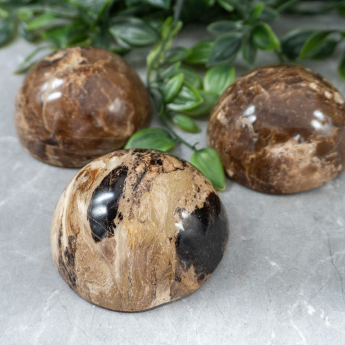 Black Opal Polished Dome