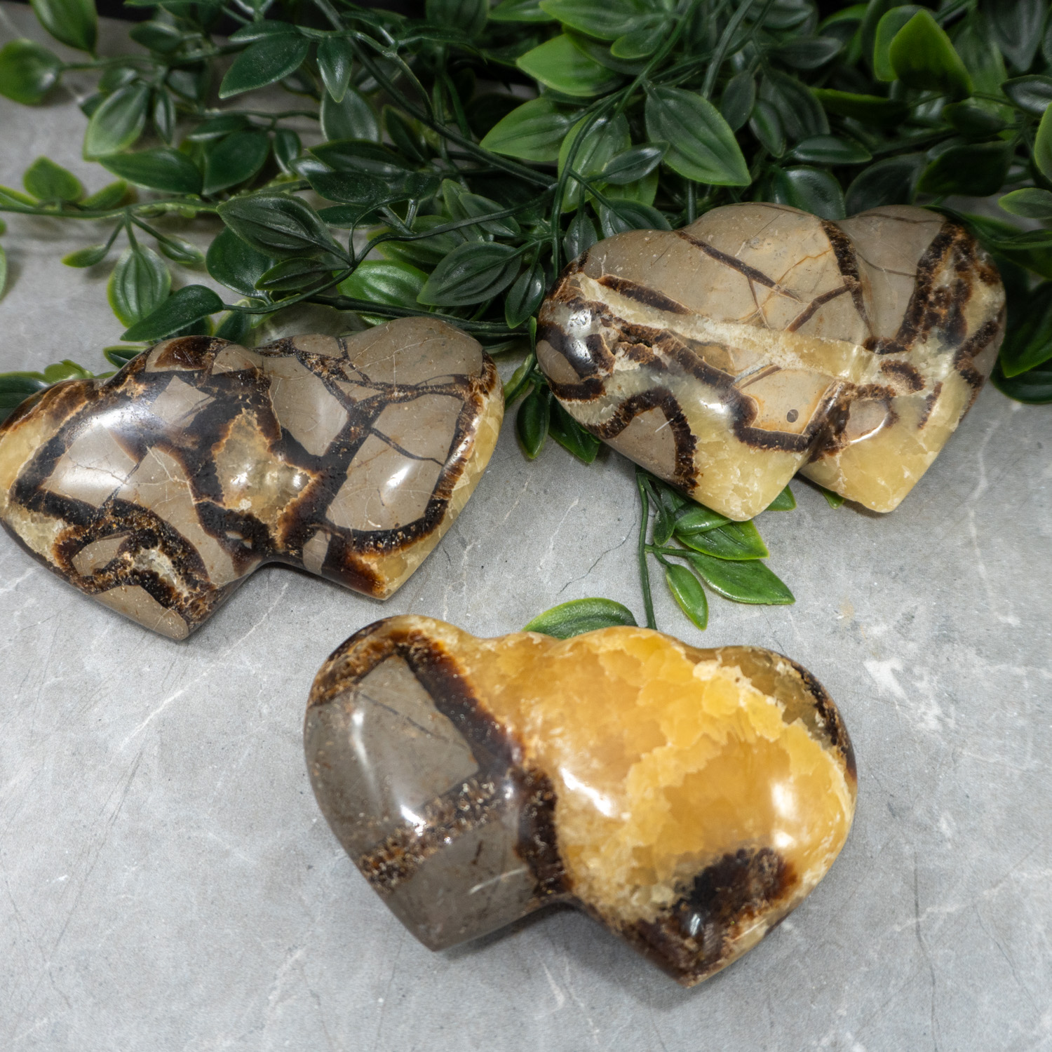 Septarian Double Heart