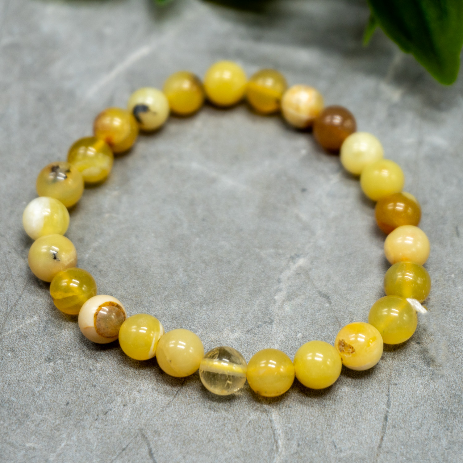 Yellow Opal Bracelet 8mm