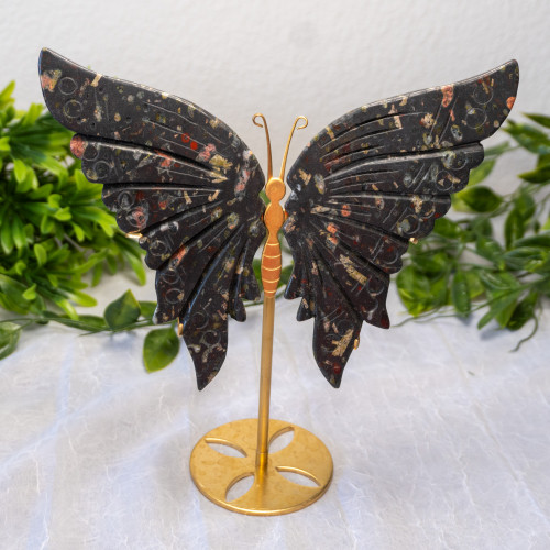 Rhyolite Large Butterfly