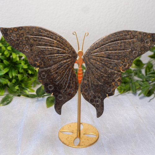 Leopard Skin Jasper Large Butterfly #4