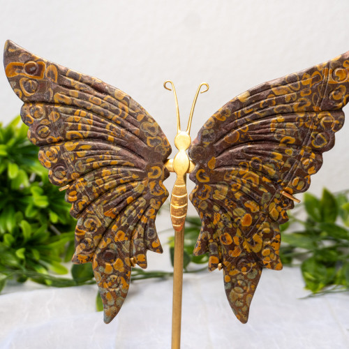 Leopard Skin Jasper Large Butterfly