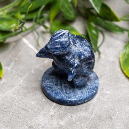 Blue Aventurine Blastoise