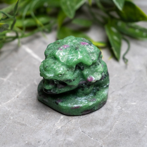 Ruby Zoisite Venusaur