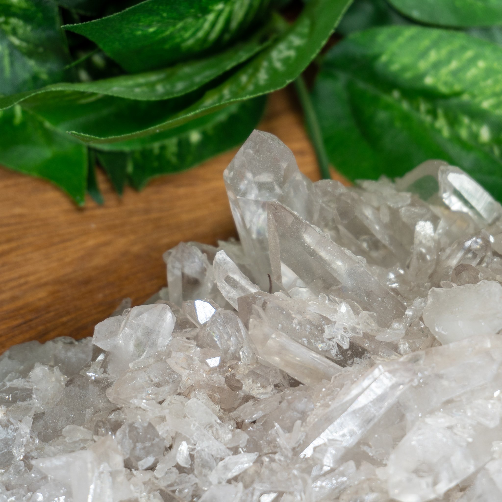 Madagascar Quartz Family 3 The Crystal Council