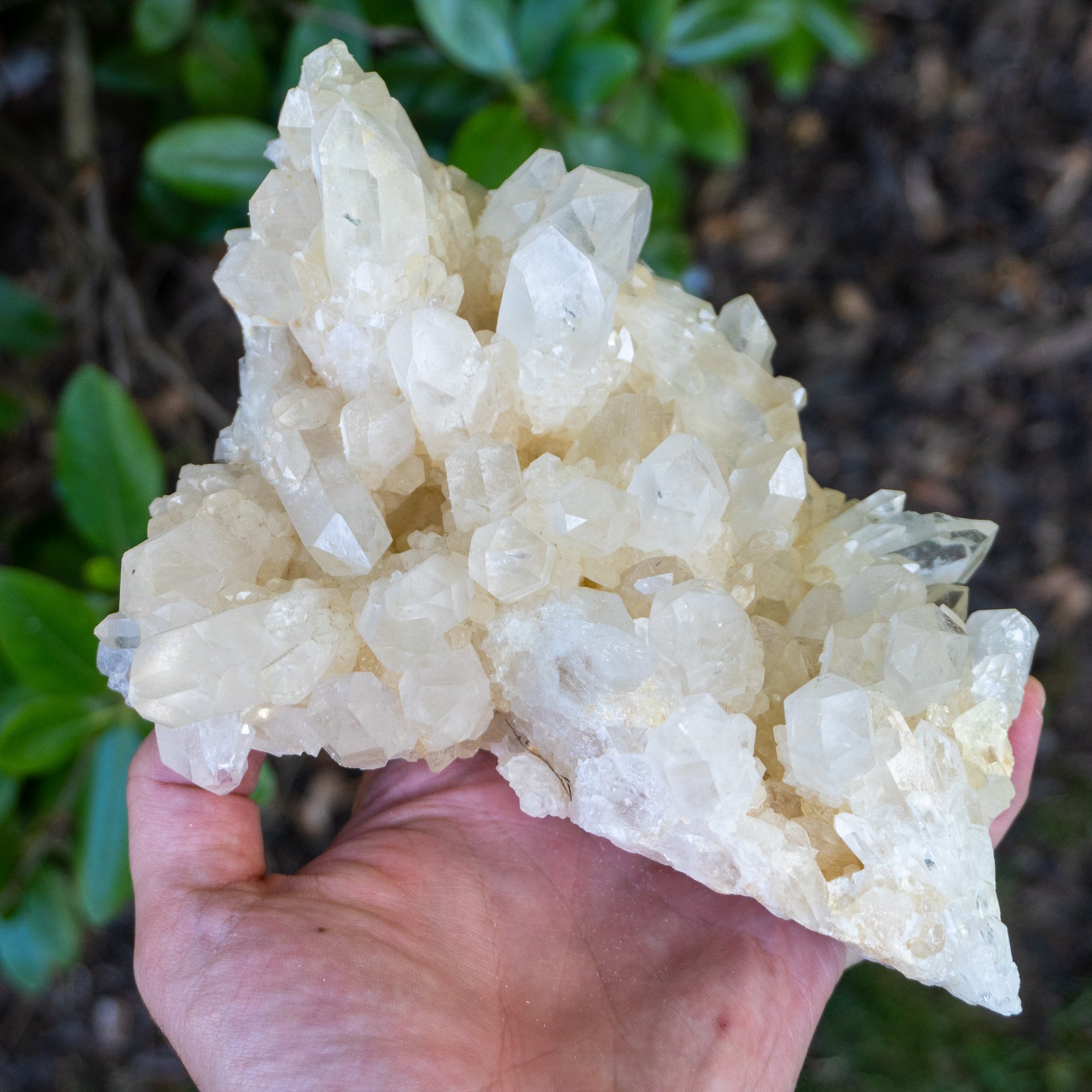 Madagascar Yellow Quartz Family #6 - The Crystal Council