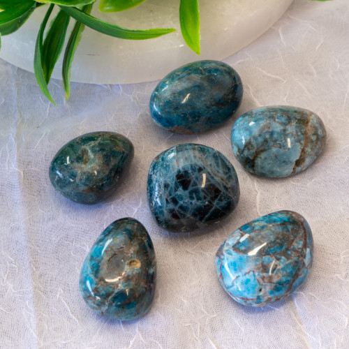 XL Blue Apatite Tumbled