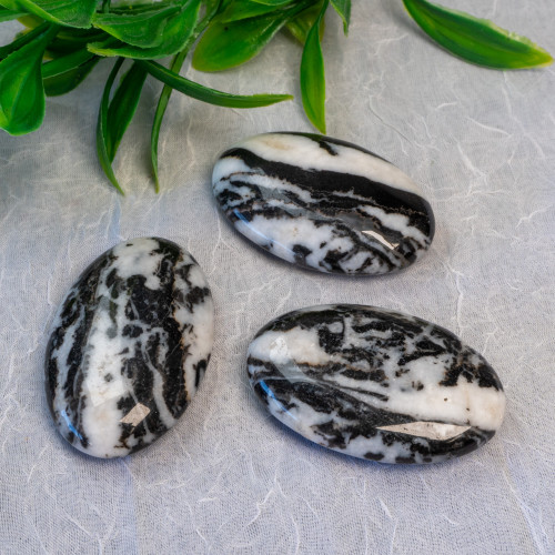 Zebra Jasper Palmstone