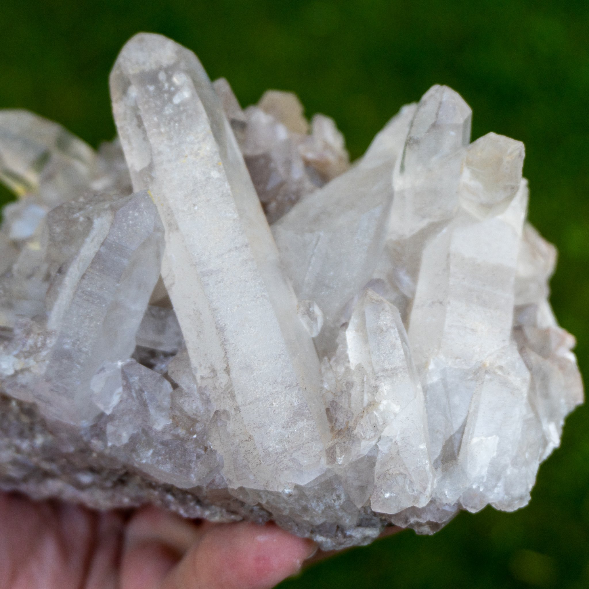 Madagascar Quartz Family 7 The Crystal Council