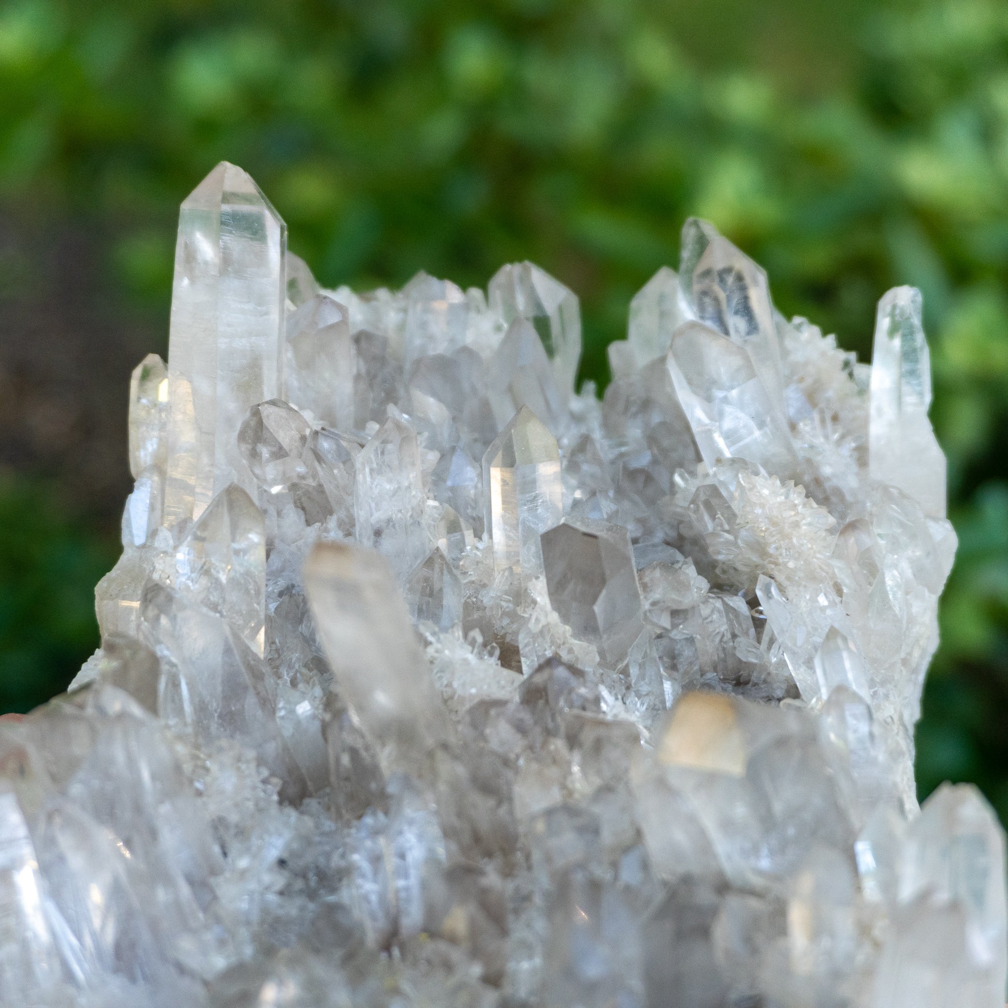 Madagascar Quartz Family 9 The Crystal Council