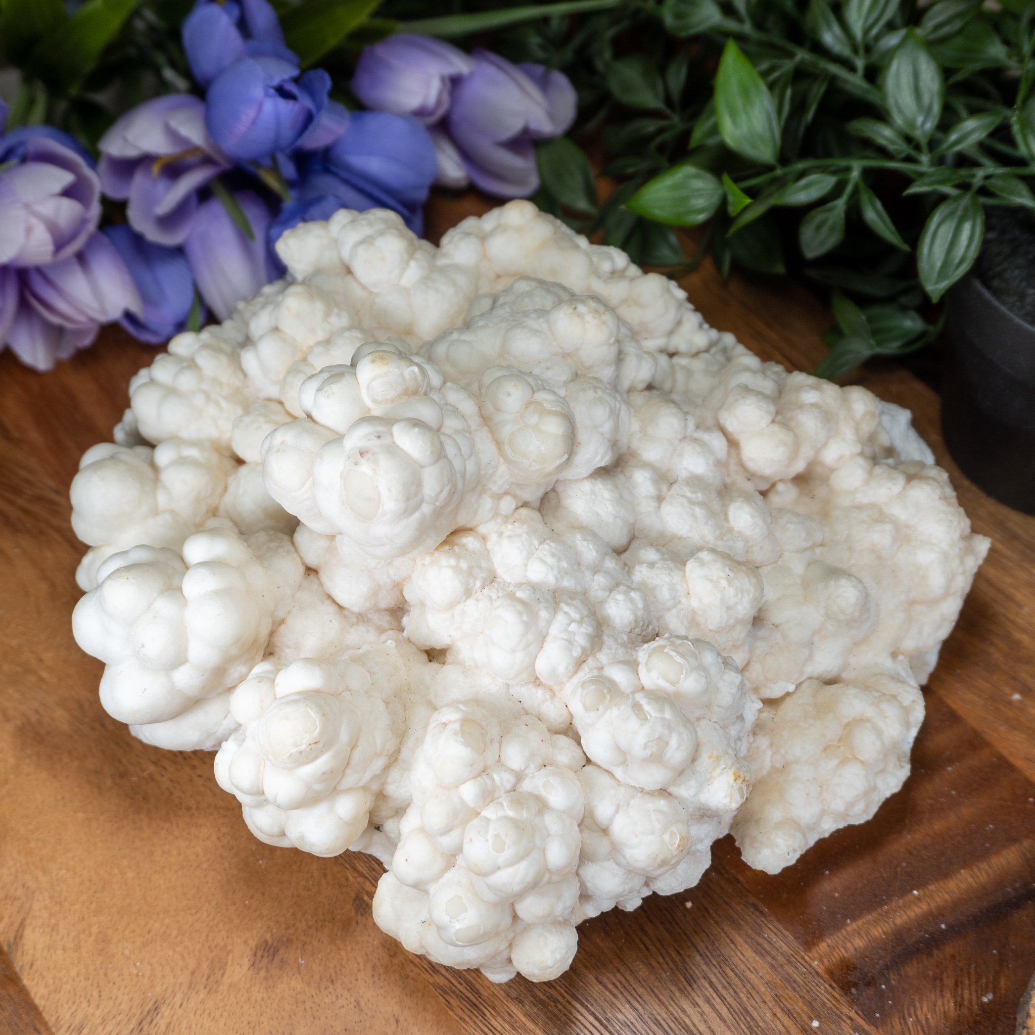 Coral "Cave" Nimbus Calcite #6