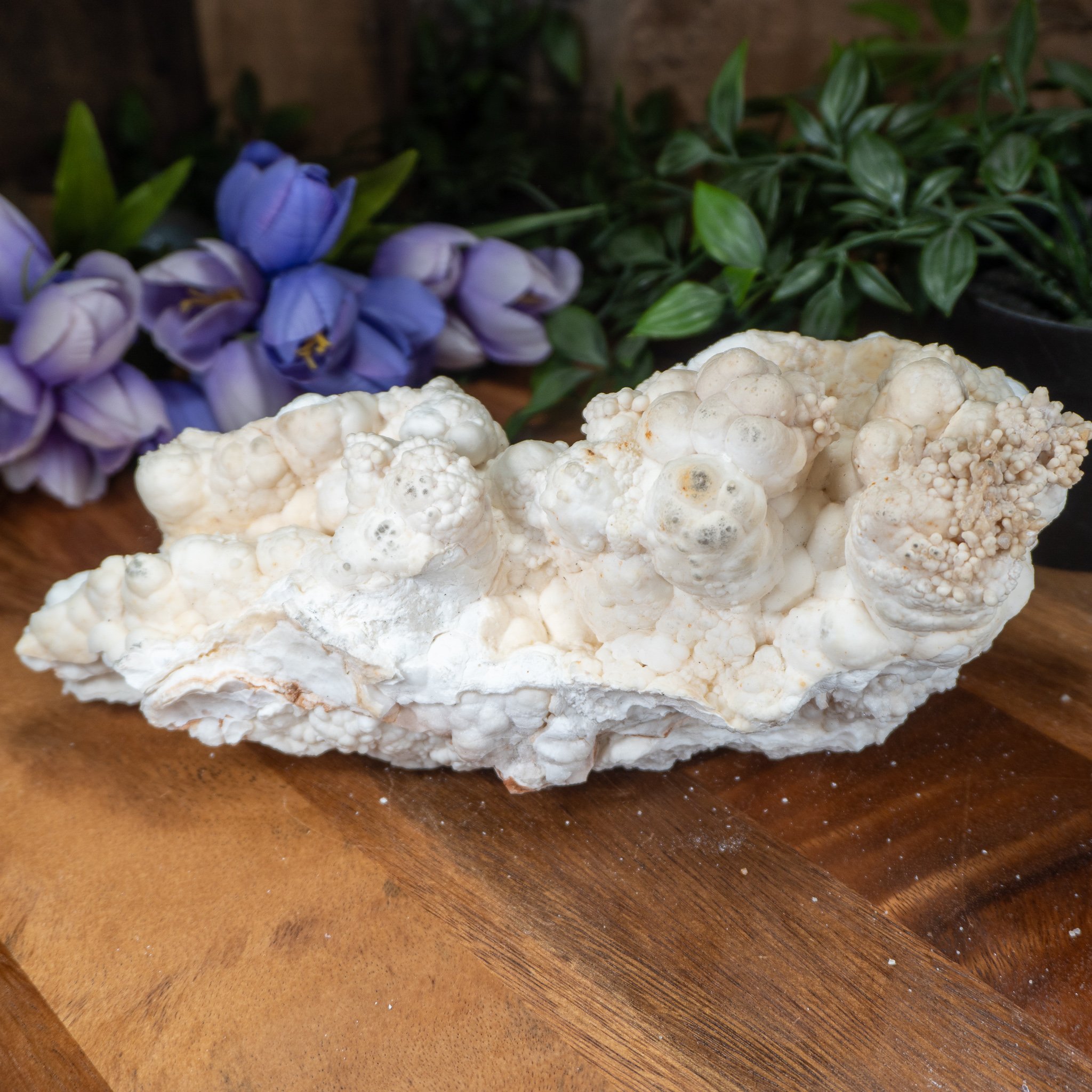 Coral "Cave" Nimbus Calcite #7