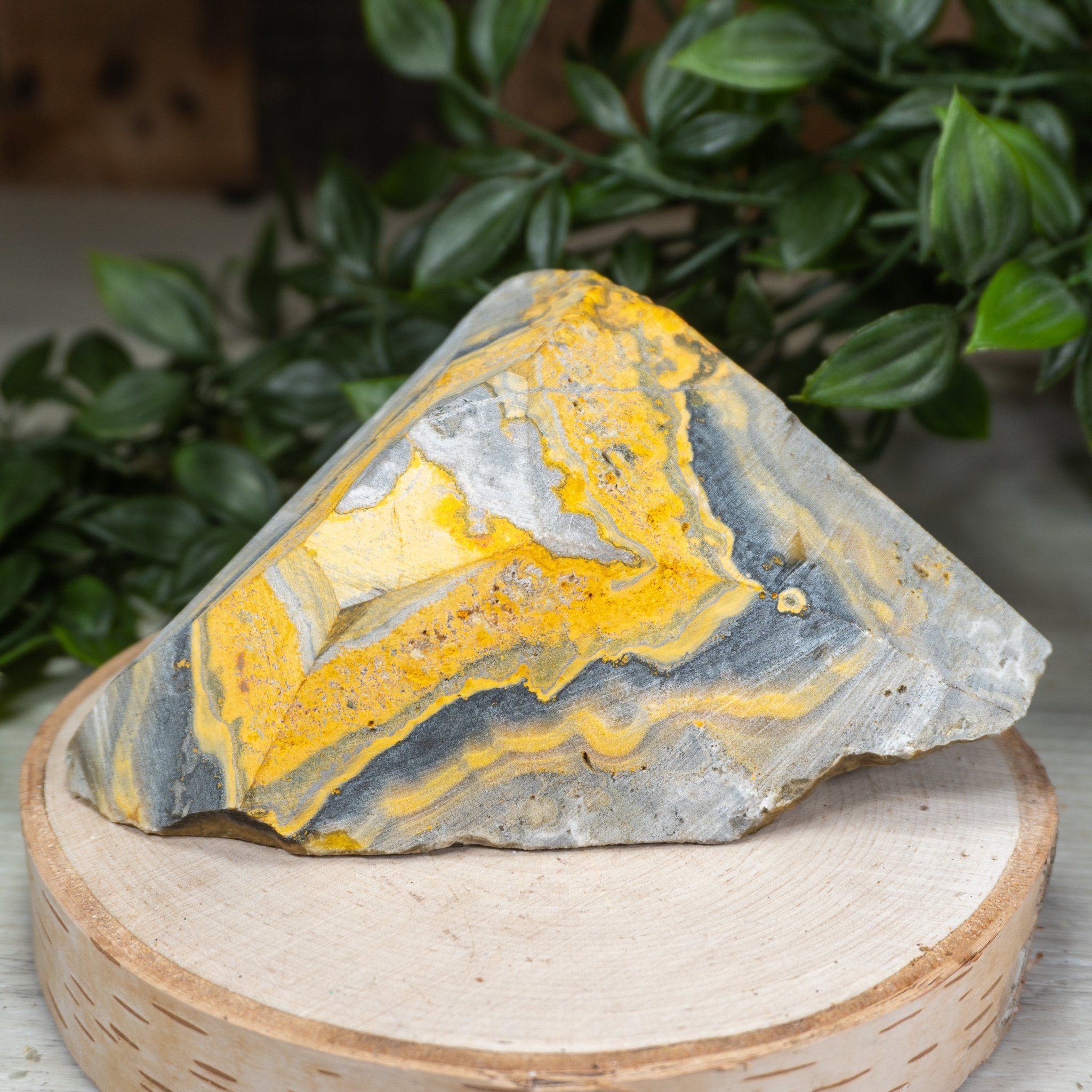 Small Raw Bumblebee Jasper