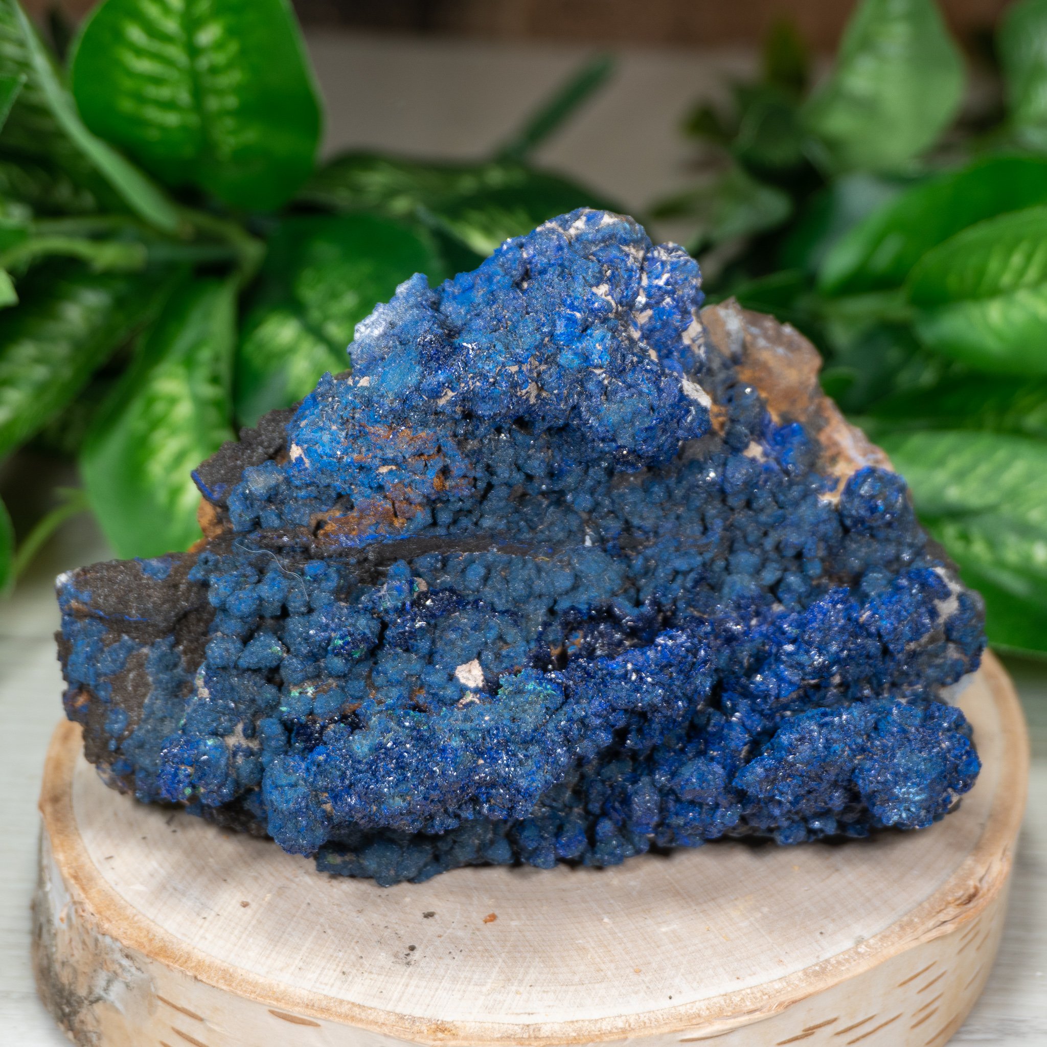 Large Druzy Morenci Azurite #1